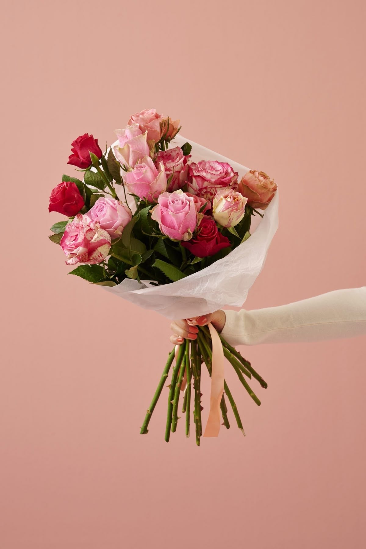 Rose Symphony